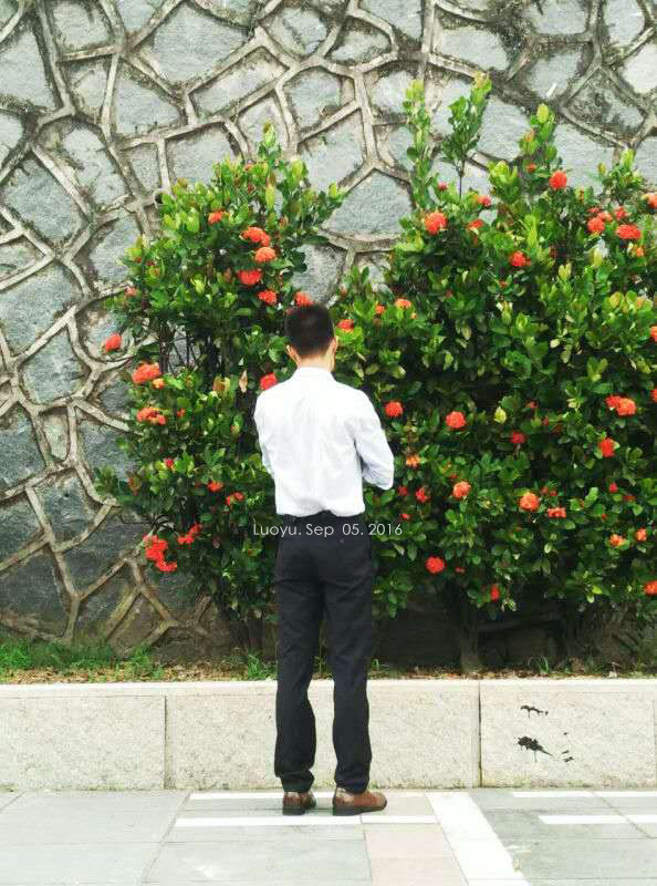 洛雨悟香的个人主页（封面预览） - 主页封面设置 - 站酷设计师洛雨悟香原创素材 - 站酷ZCOOL