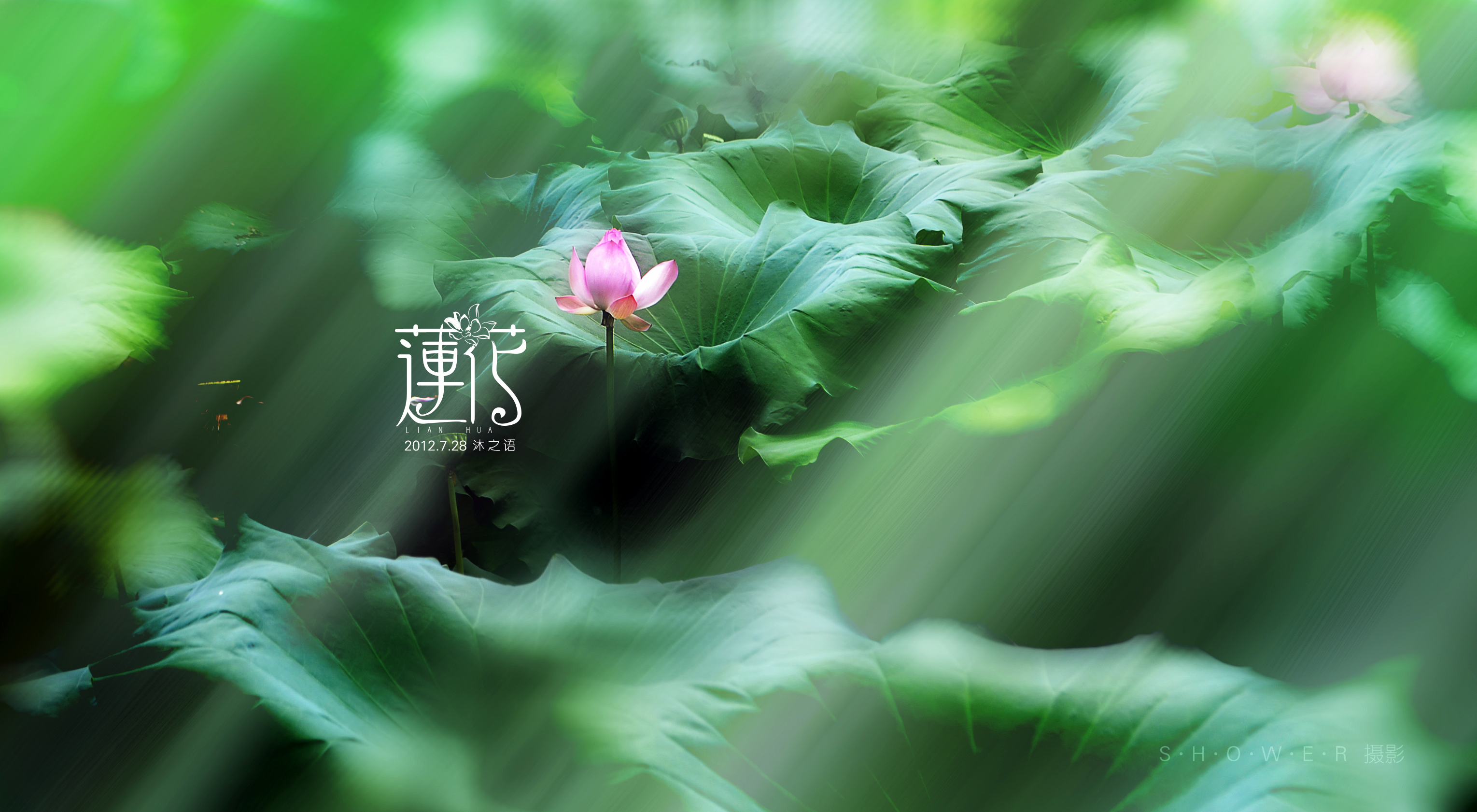 微風笑少的個人主頁（封面預(yù)覽） - 主頁封面設(shè)置 - 站酷設(shè)計師微風笑少原創(chuàng)素材 - 站酷ZCOOL