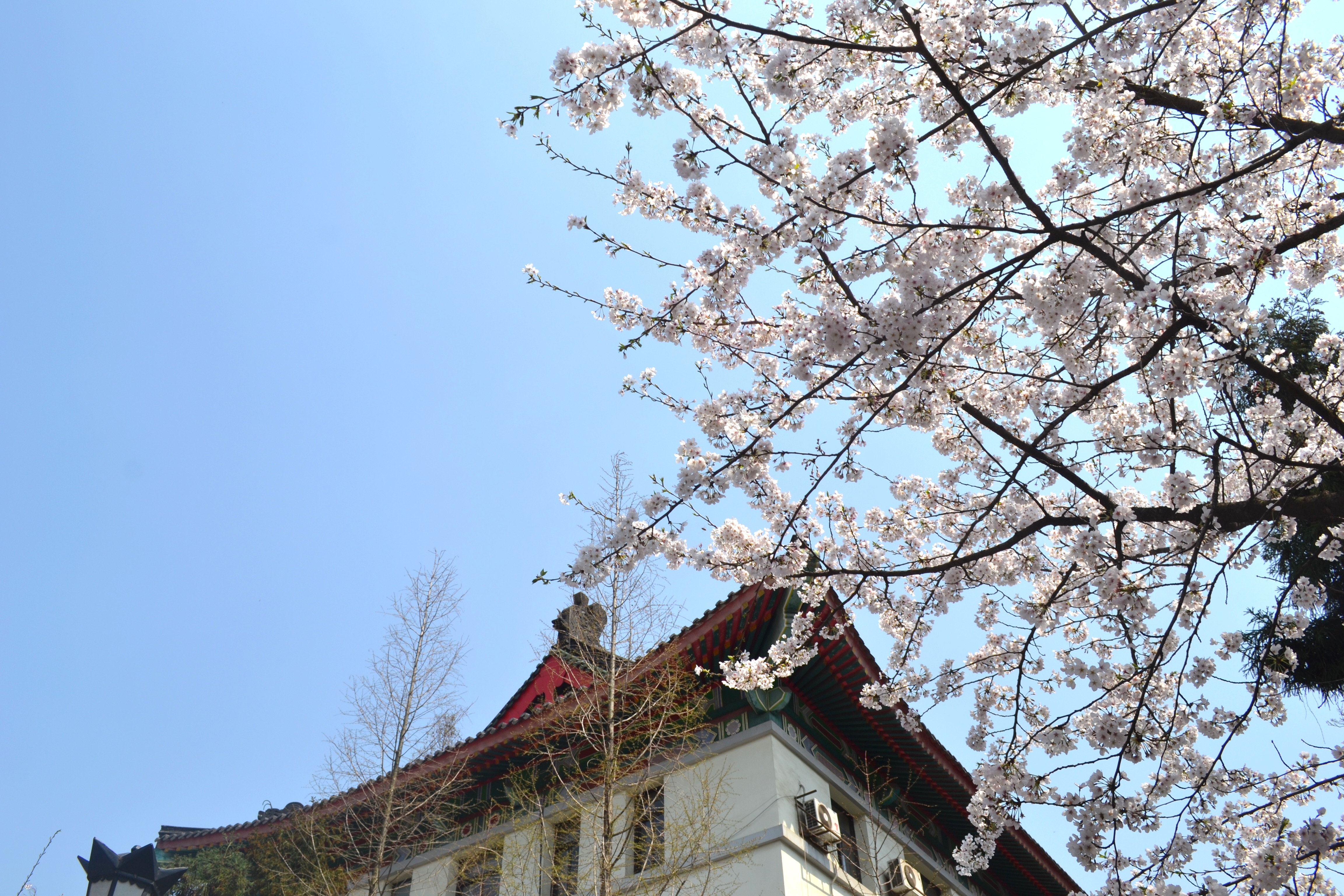 沉默的包几的个人主页（封面预览） - 主页封面设置 - 站酷设计师沉默的包几原创素材 - 站酷ZCOOL