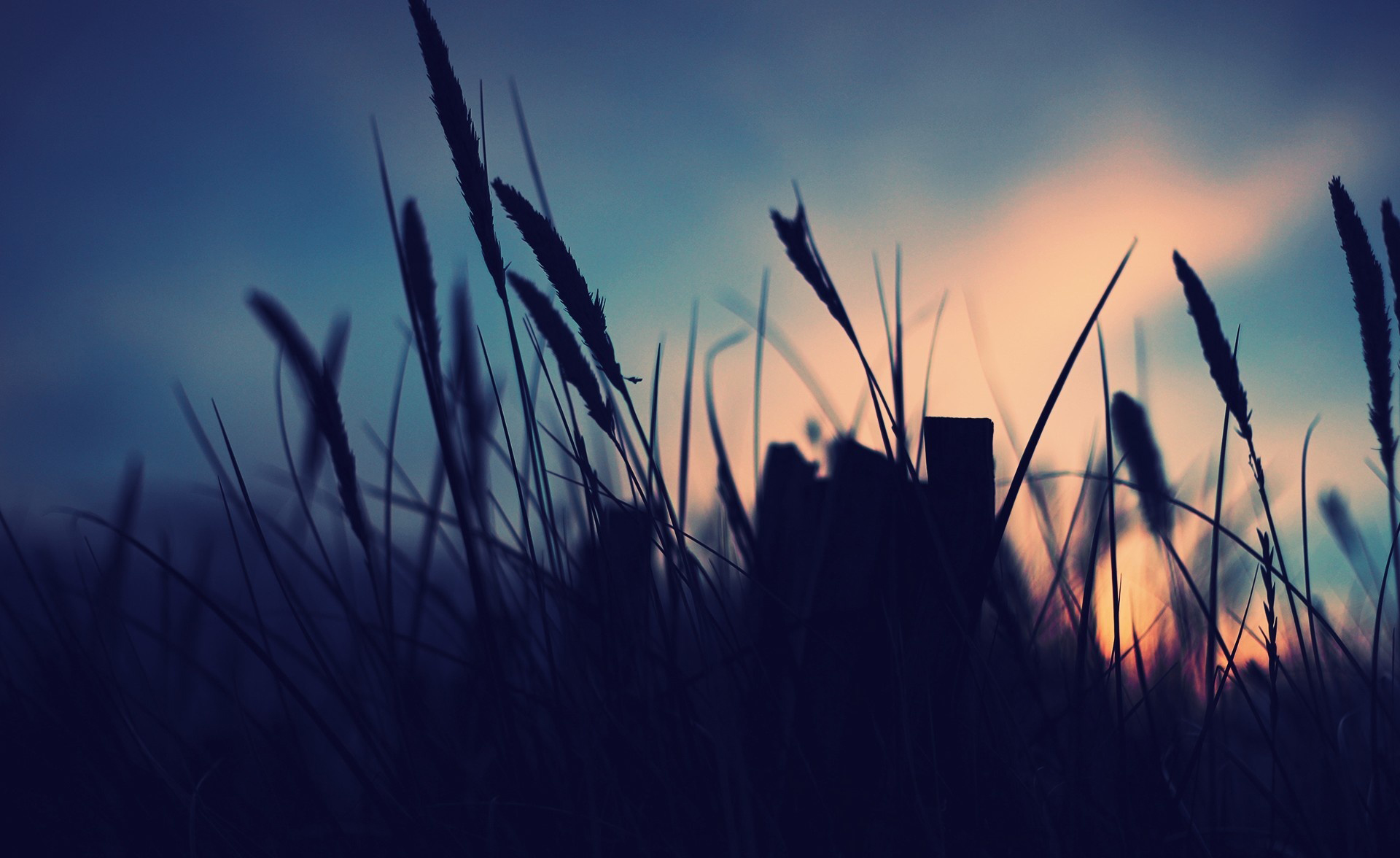 玲玲砚的个人主页（封面预览） - 主页封面设置 - 站酷设计师玲玲砚原创素材 - 站酷ZCOOL