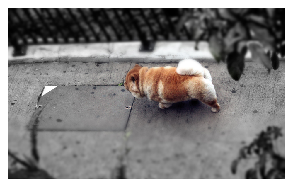 fuyang2010的个人主页（封面预览） - 主页封面设置 - 站酷设计师fuyang2010原创素材 - 站酷ZCOOL