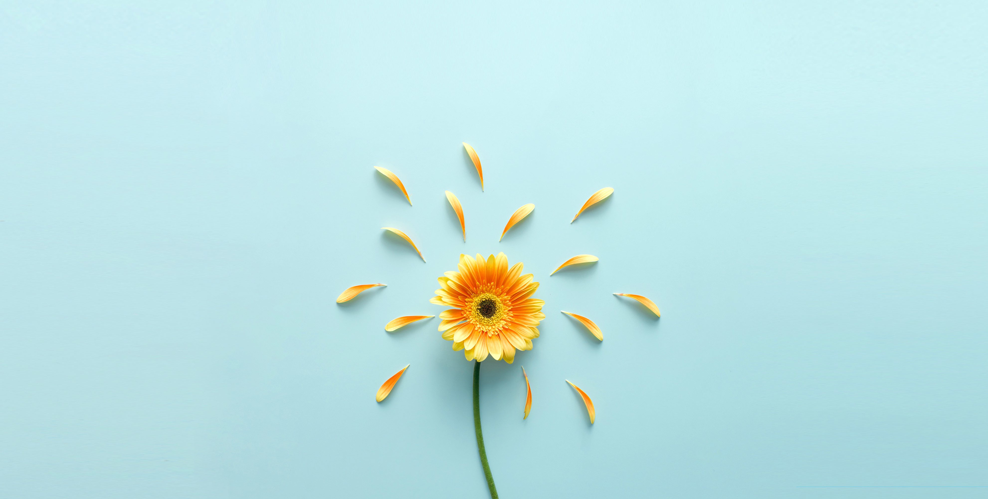 UI_JOJO的个人主页（封面预览） - 主页封面设置 - 站酷设计师UI_JOJO原创素材 - 站酷ZCOOL