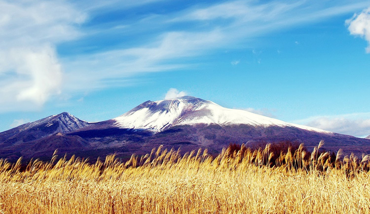 yeirong的个人主页（封面预览） - 主页封面设置 - 站酷设计师yeirong原创素材 - 站酷ZCOOL