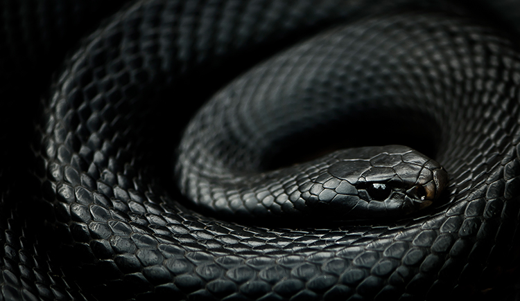 家乐福海盗呀的个人主页（封面预览） - 主页封面设置 - 站酷设计师家乐福海盗呀原创素材 - 站酷ZCOOL