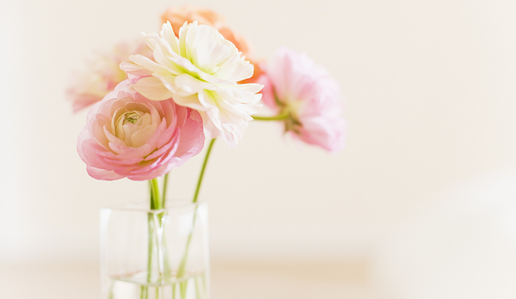 IreneM的个人主页（封面预览） - 主页封面设置 - 站酷设计师IreneM原创素材 - 站酷ZCOOL