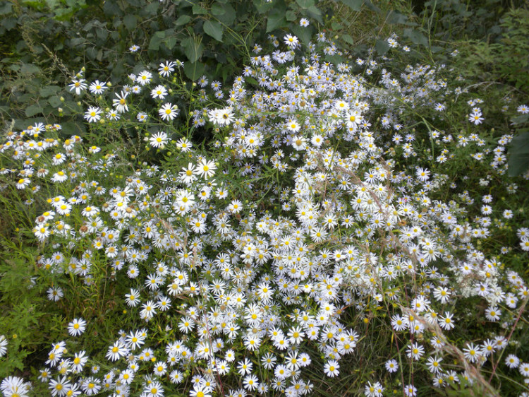 大Zzzzzzzzz的個(gè)人主頁(yè)（封面預(yù)覽） - 主頁(yè)封面設(shè)置 - 站酷設(shè)計(jì)師大Zzzzzzzzz原創(chuàng)素材 - 站酷ZCOOL