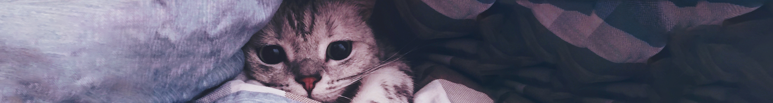 三班橘的個(gè)人主頁（封面預(yù)覽） - 主頁封面設(shè)置 - 站酷設(shè)計(jì)師三班橘原創(chuàng)素材 - 站酷ZCOOL