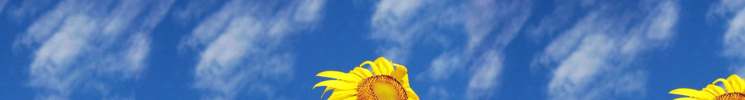 晚霞未晚的个人主页（封面预览） - 主页封面设置 - 站酷设计师晚霞未晚原创素材 - 站酷ZCOOL