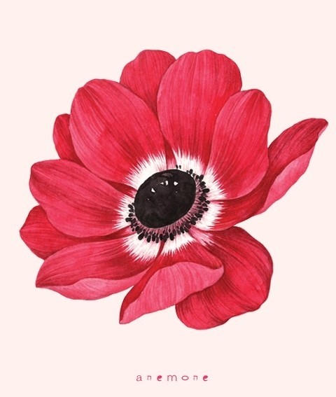 王宇芳的个人主页（封面预览） - 主页封面设置 - 站酷设计师王宇芳原创素材 - 站酷ZCOOL