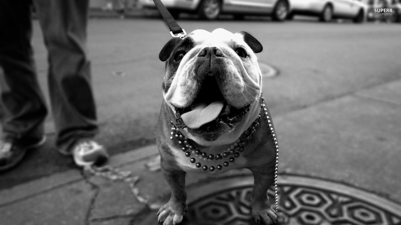 汪杰咯的個(gè)人主頁（封面預(yù)覽） - 主頁封面設(shè)置 - 站酷設(shè)計(jì)師汪杰咯原創(chuàng)素材 - 站酷ZCOOL