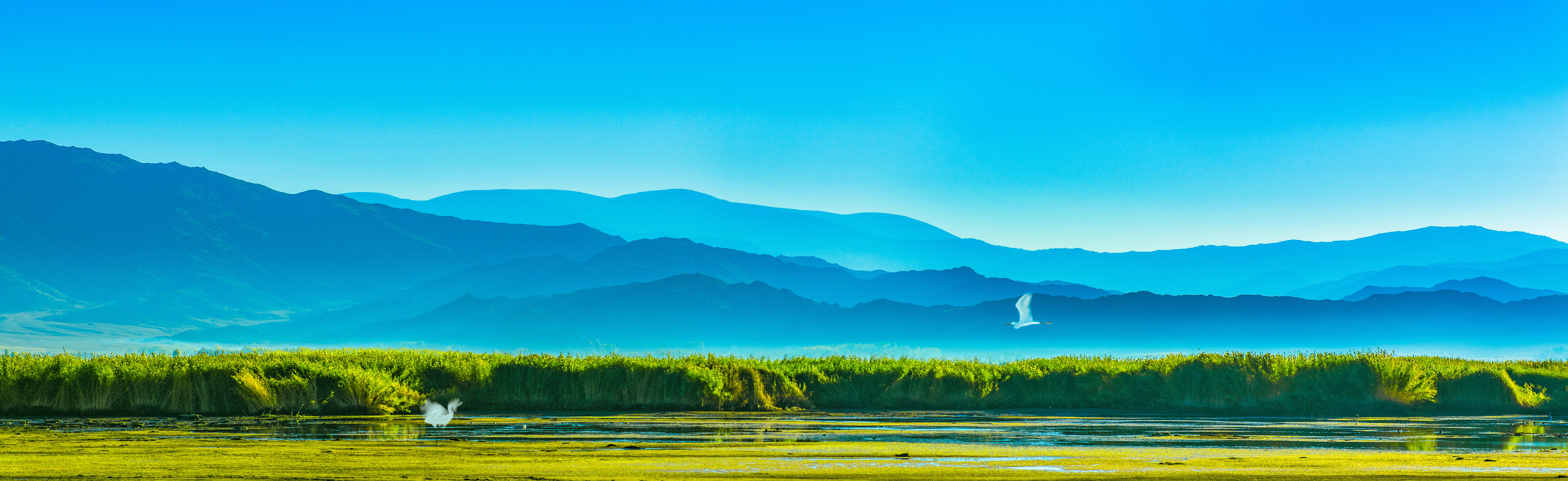 夏日微涼111的個(gè)人主頁(yè)（封面預(yù)覽） - 主頁(yè)封面設(shè)置 - 站酷設(shè)計(jì)師夏日微涼111原創(chuàng)素材 - 站酷ZCOOL