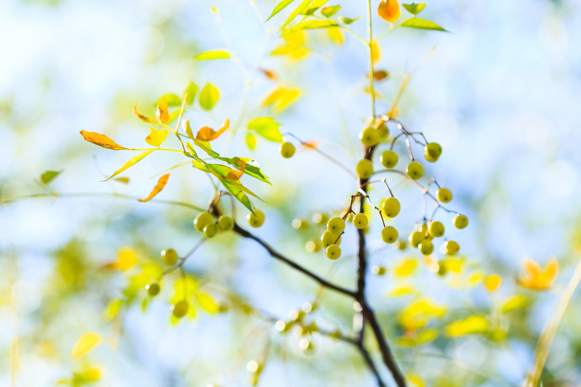 o_Vivian_o的個(gè)人主頁（封面預(yù)覽） - 主頁封面設(shè)置 - 站酷設(shè)計(jì)師o_Vivian_o原創(chuàng)素材 - 站酷ZCOOL