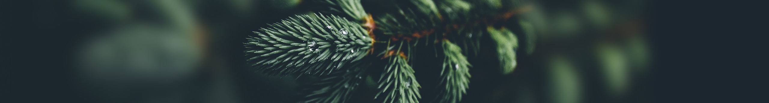 joy思shawn的个人主页（封面预览） - 主页封面设置 - 站酷设计师joy思shawn原创素材 - 站酷ZCOOL