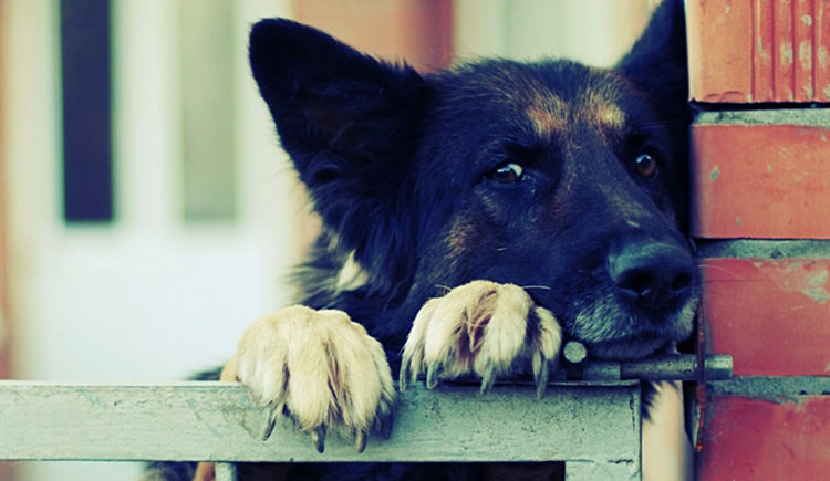 老夫的小咸鱼的个人主页（封面预览） - 主页封面设置 - 站酷设计师老夫的小咸鱼原创素材 - 站酷ZCOOL