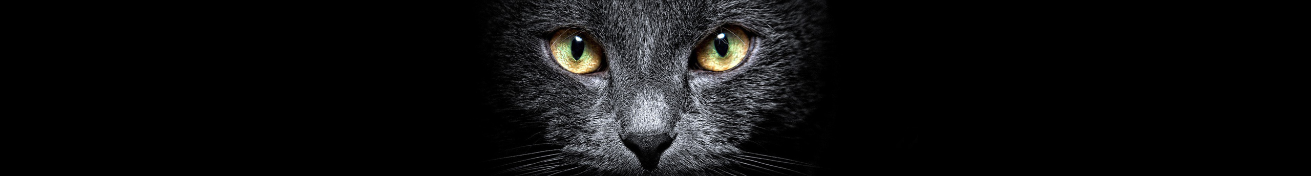 不喝牛奶的喵的个人主页（封面预览） - 主页封面设置 - 站酷设计师不喝牛奶的喵原创素材 - 站酷ZCOOL