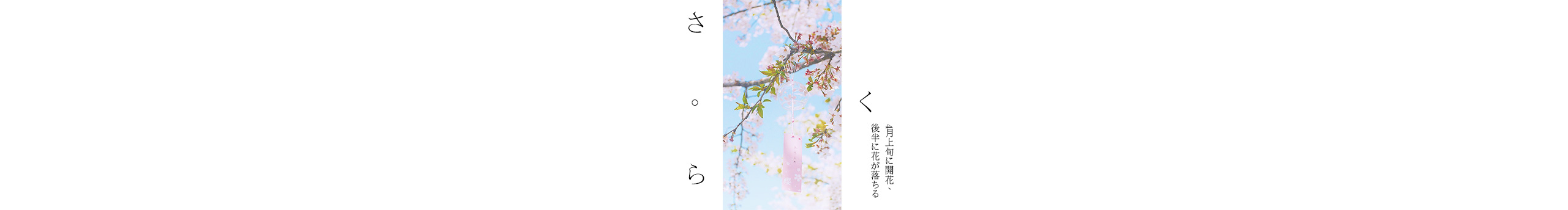 原来是无心大叔啊的个人主页（封面预览） - 主页封面设置 - 站酷设计师原来是无心大叔啊原创素材 - 站酷ZCOOL