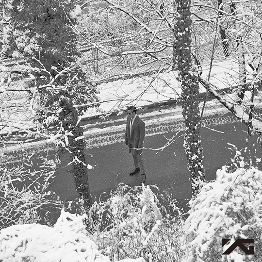 布塔魚的個(gè)人主頁(yè)（封面預(yù)覽） - 主頁(yè)封面設(shè)置 - 站酷設(shè)計(jì)師布塔魚原創(chuàng)素材 - 站酷ZCOOL