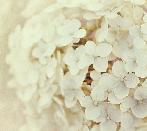 天生我财必有用的个人主页（封面预览） - 主页封面设置 - 站酷设计师天生我财必有用原创素材 - 站酷ZCOOL