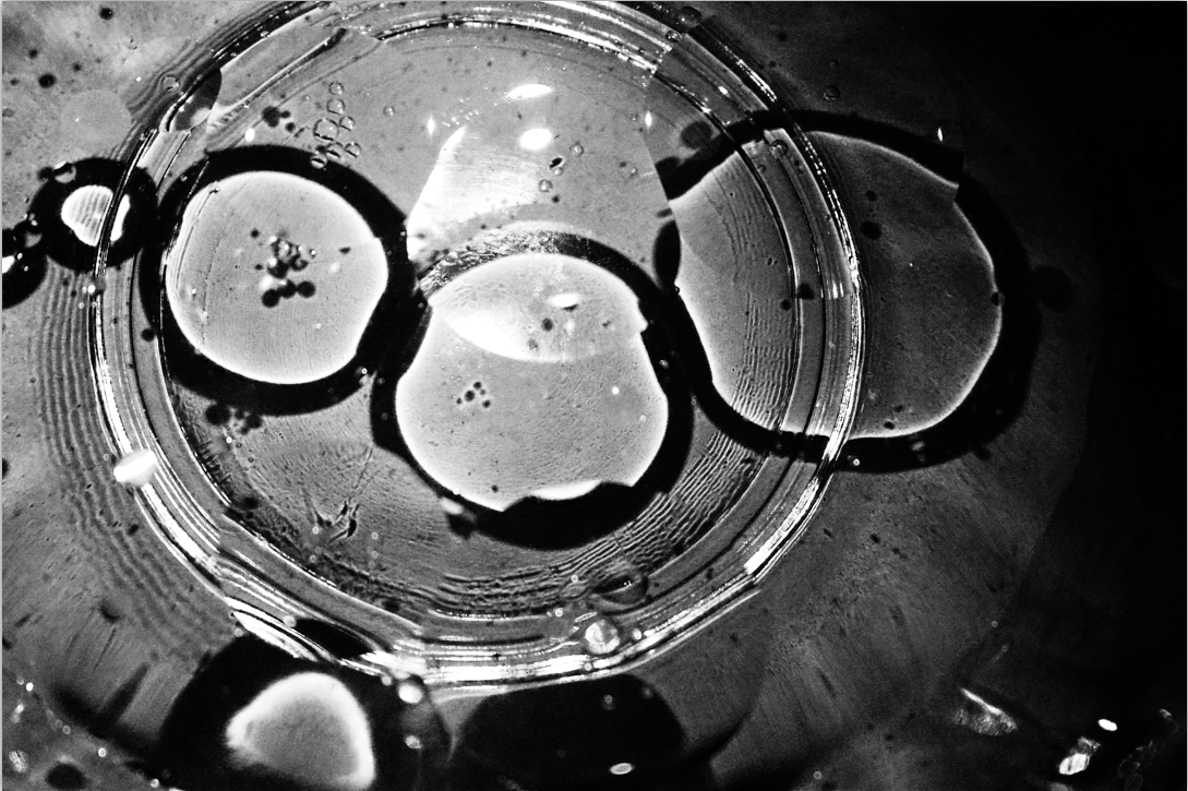 Yier_01的個人主頁（封面預(yù)覽） - 主頁封面設(shè)置 - 站酷設(shè)計師Yier_01原創(chuàng)素材 - 站酷ZCOOL