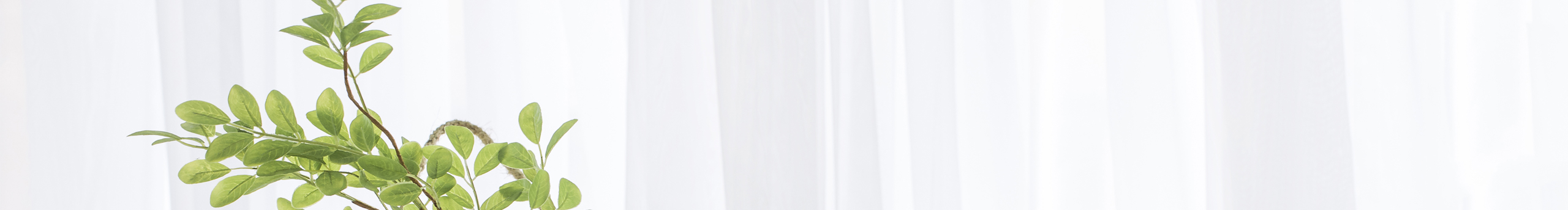 桃子miumiu的個人主頁（封面預(yù)覽） - 主頁封面設(shè)置 - 站酷設(shè)計師桃子miumiu原創(chuàng)素材 - 站酷ZCOOL