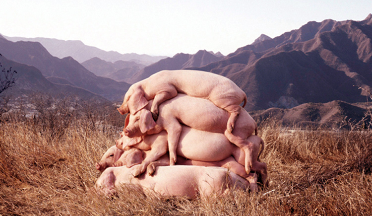 nomoc的个人主页（封面预览） - 主页封面设置 - 站酷设计师nomoc原创素材 - 站酷ZCOOL