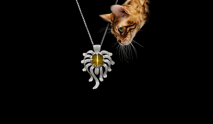 梁梁梁梁梁_的個人主頁（封面預覽） - 主頁封面設置 - 站酷設計師梁梁梁梁梁_原創(chuàng)素材 - 站酷ZCOOL