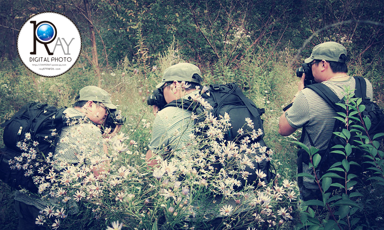 大連瑞智廣告公司的個(gè)人主頁(yè)（封面預(yù)覽） - 主頁(yè)封面設(shè)置 - 站酷設(shè)計(jì)師大連瑞智廣告公司原創(chuàng)素材 - 站酷ZCOOL