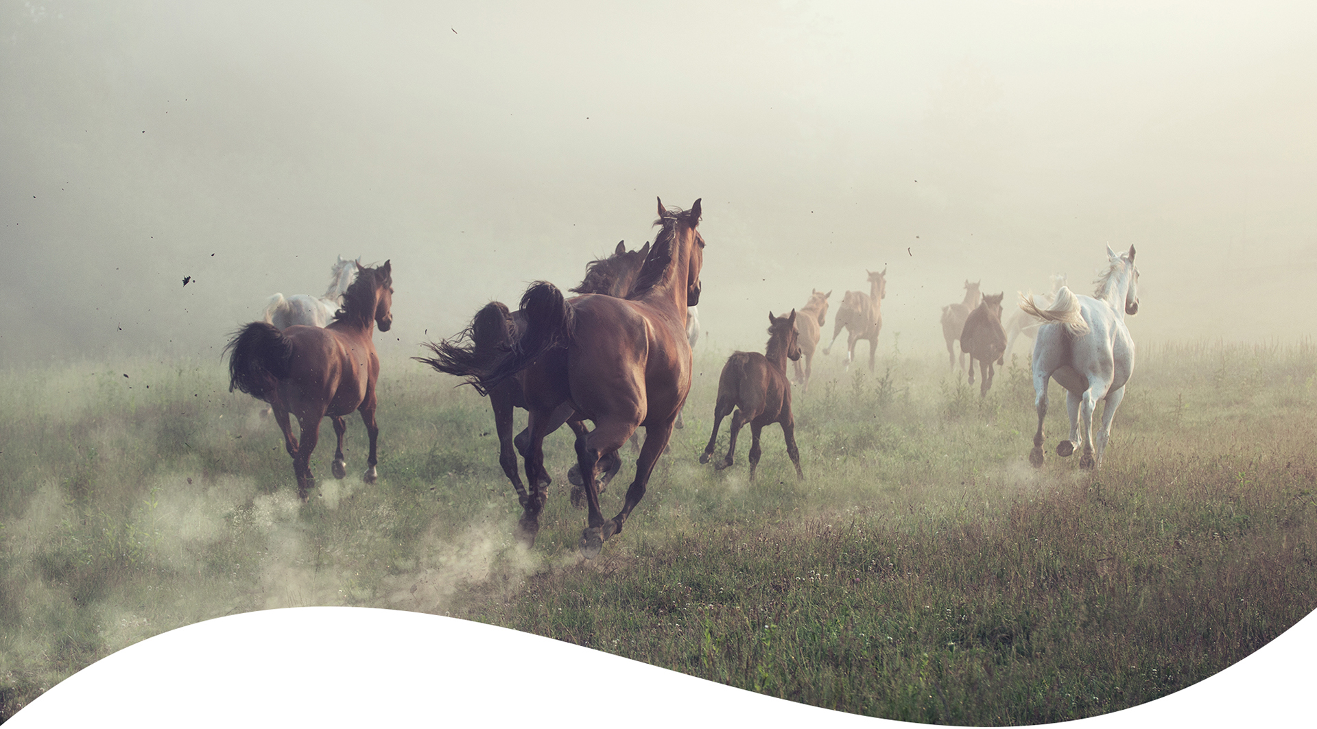 马说设计的个人主页（封面预览） - 主页封面设置 - 站酷设计师马说设计原创素材 - 站酷ZCOOL