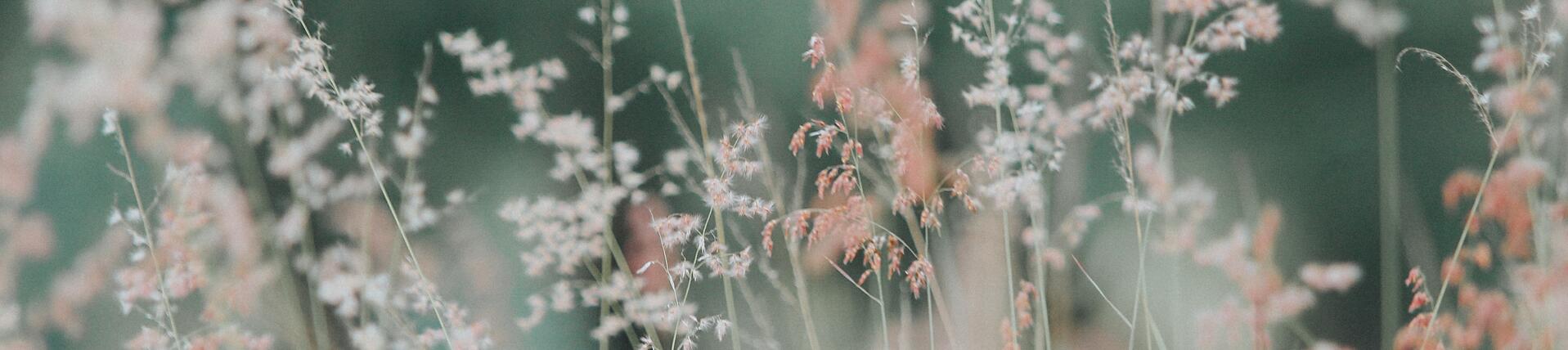 GGGMMM的个人主页（封面预览） - 主页封面设置 - 站酷设计师GGGMMM原创素材 - 站酷ZCOOL