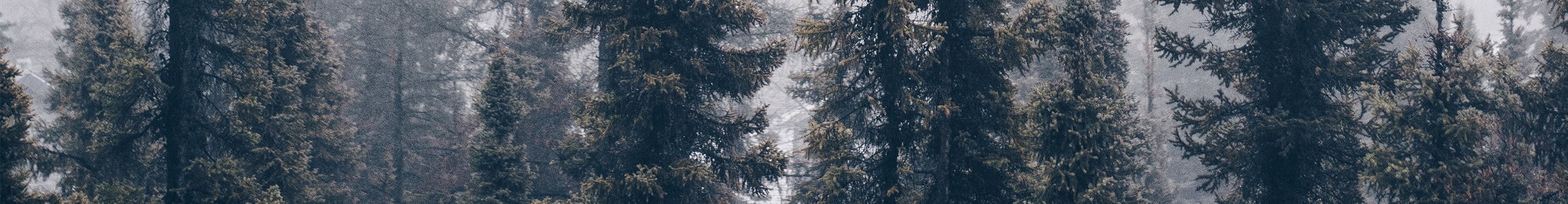 Juntao的个人主页（封面预览） - 主页封面设置 - 站酷设计师Juntao原创素材 - 站酷ZCOOL