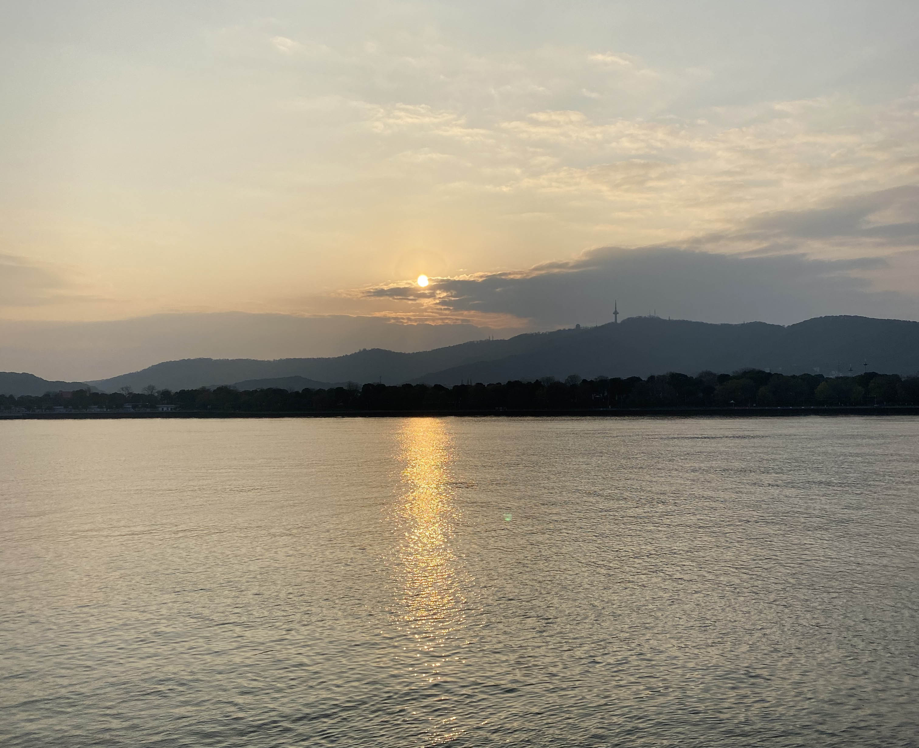 Z08245173的个人主页（封面预览） - 主页封面设置 - 站酷设计师Z08245173原创素材 - 站酷ZCOOL