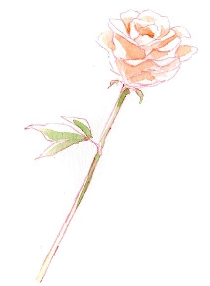 晚霜暮雪的个人主页（封面预览） - 主页封面设置 - 站酷设计师晚霜暮雪原创素材 - 站酷ZCOOL