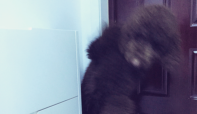 ZacX的个人主页（封面预览） - 主页封面设置 - 站酷设计师ZacX原创素材 - 站酷ZCOOL