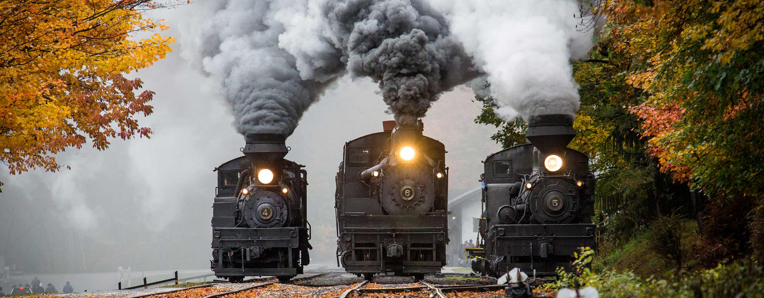 Tx通行证的个人主页（封面预览） - 主页封面设置 - 站酷设计师Tx通行证原创素材 - 站酷ZCOOL