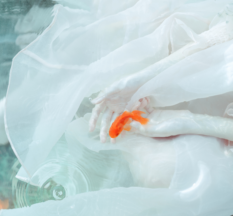 饺子爸的个人主页（封面预览） - 主页封面设置 - 站酷设计师饺子爸原创素材 - 站酷ZCOOL