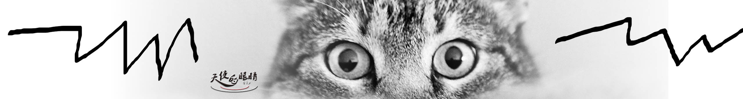 天使的眼睛fly的個(gè)人主頁（封面預(yù)覽） - 主頁封面設(shè)置 - 站酷設(shè)計(jì)師天使的眼睛fly原創(chuàng)素材 - 站酷ZCOOL