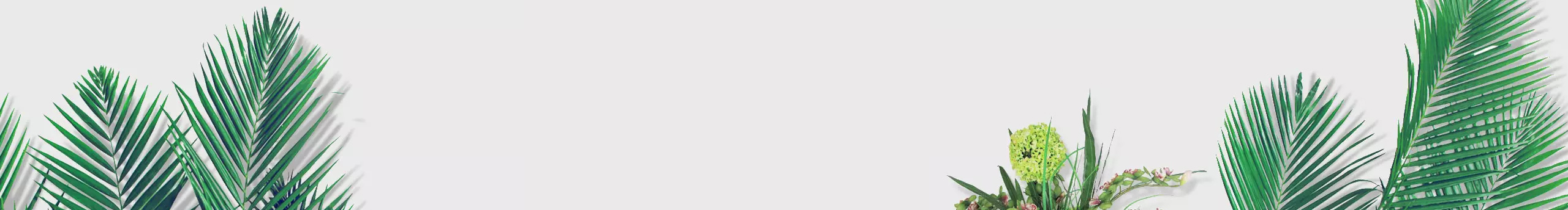 妮大會長的個人主頁（封面預(yù)覽） - 主頁封面設(shè)置 - 站酷設(shè)計師妮大會長原創(chuàng)素材 - 站酷ZCOOL