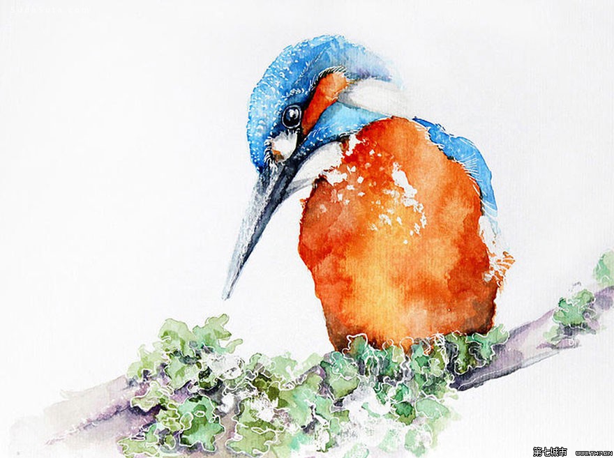 雙小七的個人主頁（封面預(yù)覽） - 主頁封面設(shè)置 - 站酷設(shè)計師雙小七原創(chuàng)素材 - 站酷ZCOOL