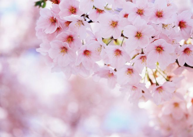 凉三生错三世的个人主页（封面预览） - 主页封面设置 - 站酷设计师凉三生错三世原创素材 - 站酷ZCOOL