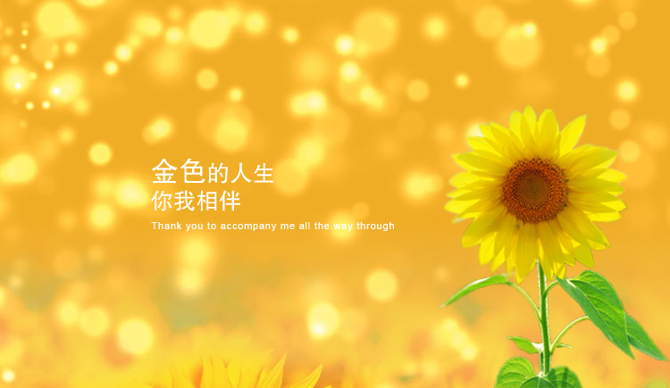 banor的个人主页（封面预览） - 主页封面设置 - 站酷设计师banor原创素材 - 站酷ZCOOL