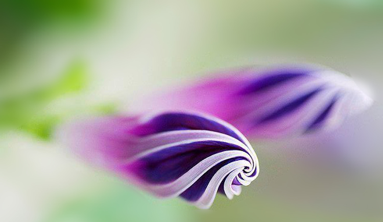 Youth小倩的个人主页（封面预览） - 主页封面设置 - 站酷设计师Youth小倩原创素材 - 站酷ZCOOL