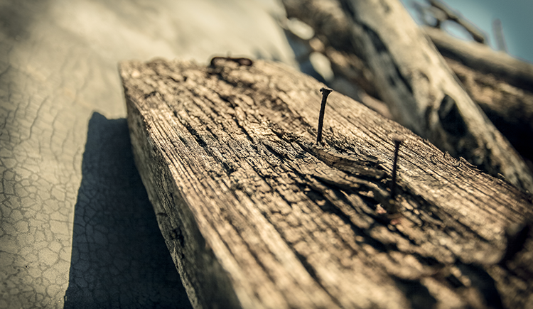 老狻猊的個(gè)人主頁(yè)（封面預(yù)覽） - 主頁(yè)封面設(shè)置 - 站酷設(shè)計(jì)師老狻猊原創(chuàng)素材 - 站酷ZCOOL