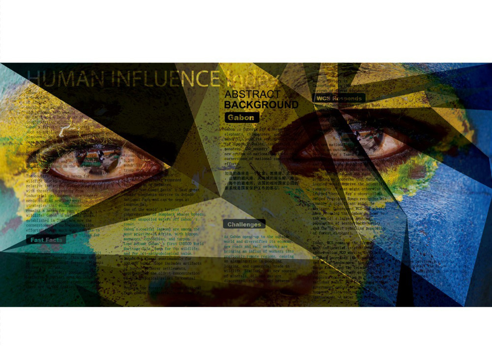 白利波的个人主页（封面预览） - 主页封面设置 - 站酷设计师白利波原创素材 - 站酷ZCOOL