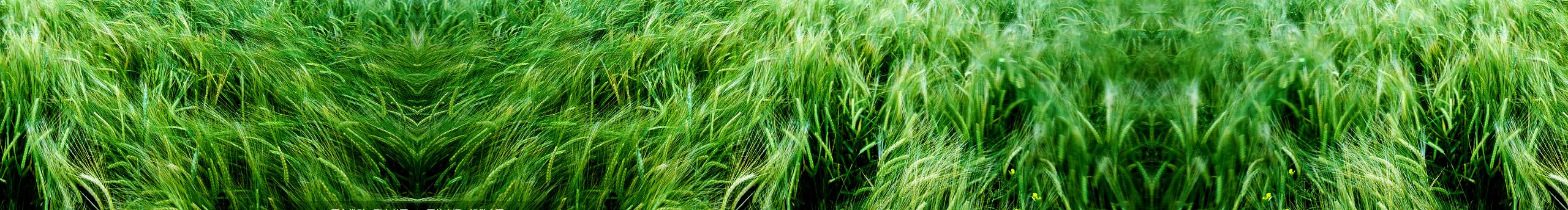 島城彪爺的个人主页（封面预览） - 主页封面设置 - 站酷设计师島城彪爺原创素材 - 站酷ZCOOL