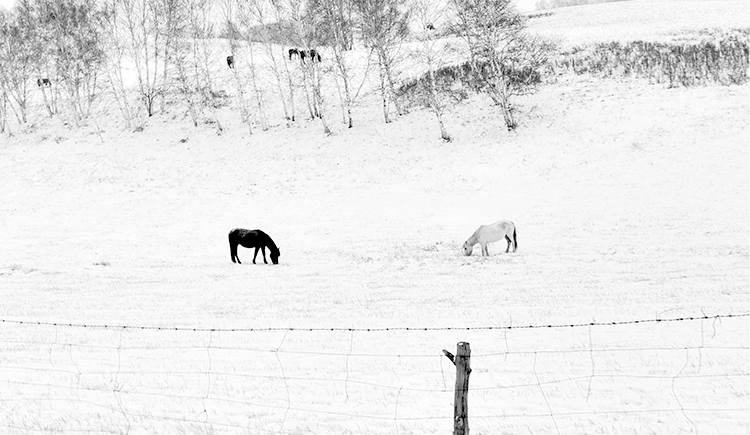 ahgaoshan的個人主頁（封面預(yù)覽） - 主頁封面設(shè)置 - 站酷設(shè)計師ahgaoshan原創(chuàng)素材 - 站酷ZCOOL