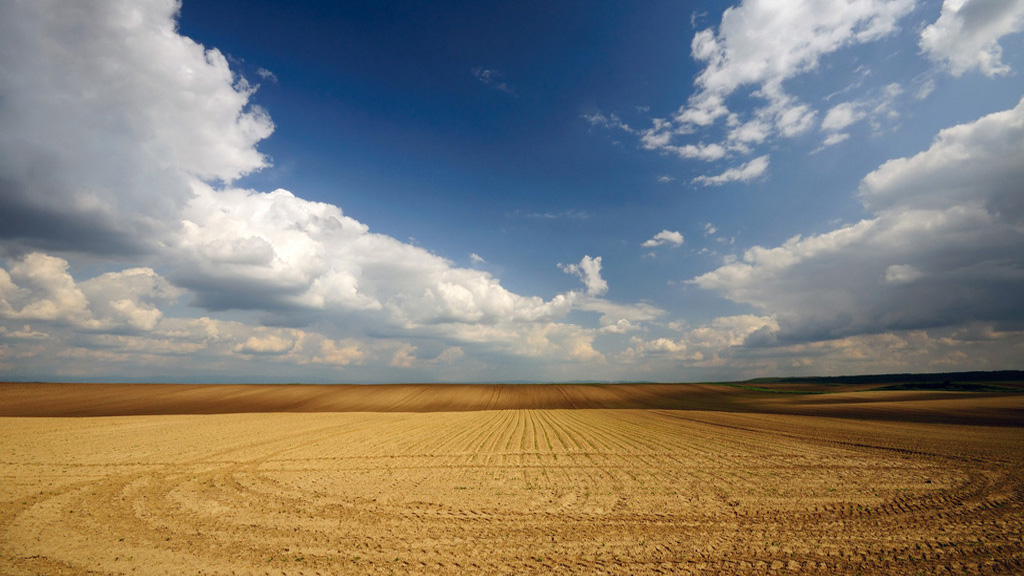 壹個柚子的個人主頁（封面預(yù)覽） - 主頁封面設(shè)置 - 站酷設(shè)計師壹個柚子原創(chuàng)素材 - 站酷ZCOOL