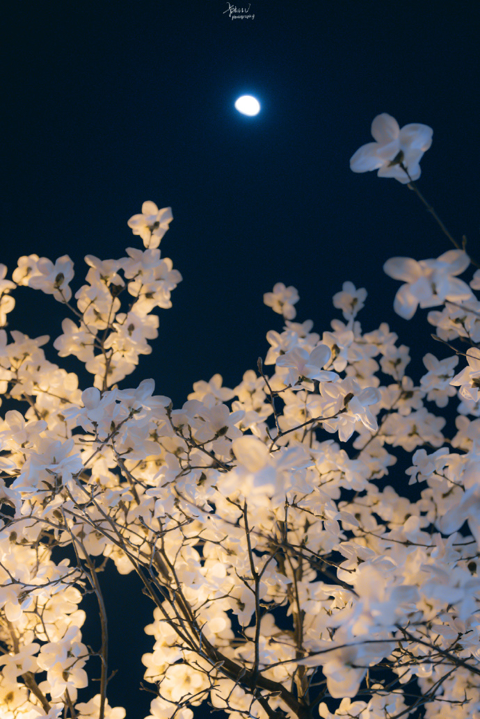 好香麻麻的个人主页（封面预览） - 主页封面设置 - 站酷设计师好香麻麻原创素材 - 站酷ZCOOL