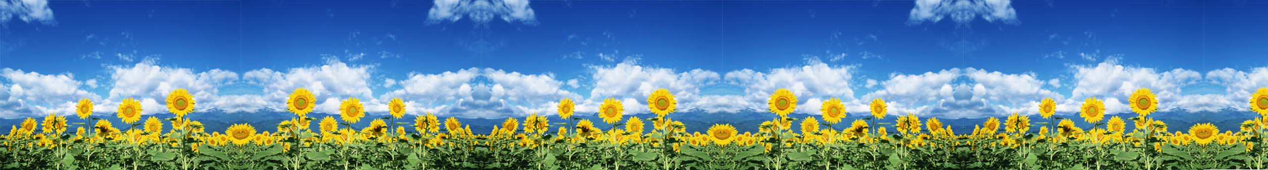 雪球呀的個人主頁（封面預(yù)覽） - 主頁封面設(shè)置 - 站酷設(shè)計師雪球呀原創(chuàng)素材 - 站酷ZCOOL