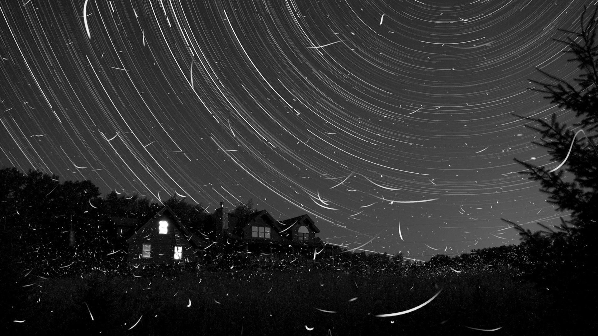 信箱里的小黑的个人主页（封面预览） - 主页封面设置 - 站酷设计师信箱里的小黑原创素材 - 站酷ZCOOL