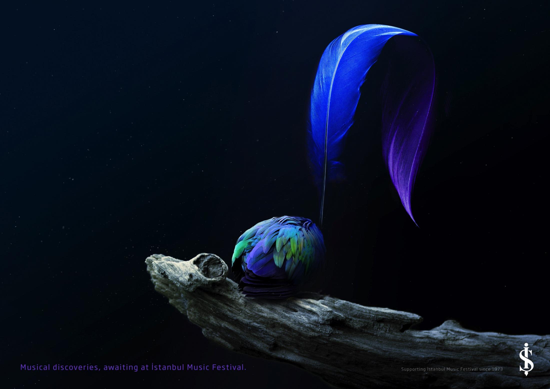 波子CLD的個人主頁（封面預(yù)覽） - 主頁封面設(shè)置 - 站酷設(shè)計師波子CLD原創(chuàng)素材 - 站酷ZCOOL